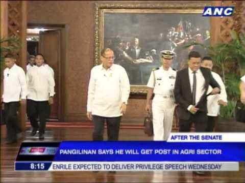 Lacson to head Palace's anti-graft drive: sources