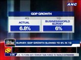 GDP growth slowed to 6 pct in Q1 - survey