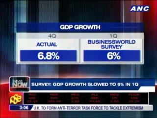 GDP growth slowed to 6 pct in Q1 - survey