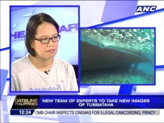 Tubbataha scars will heal, says expert
