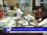 Comelec wants hassle-free polls