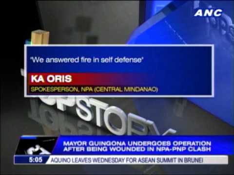 NPA rebels blame police in Guingona ambush