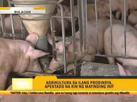 Summer heat still normal, PAGASA says