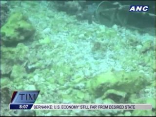 Chinese fishing boat stuck at Tubbataha