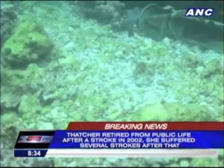 Palace: No diplomatic protest over Tubbataha