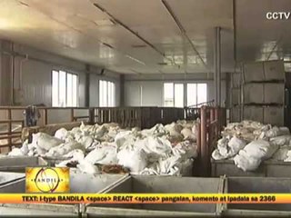DOH cautions public against H7N9 bird flu virus