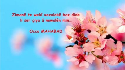 Hemê Hecî-Qazê