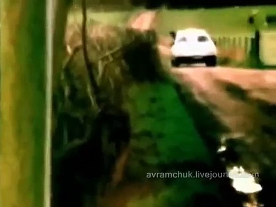 The Irish Republican Army (IRA)