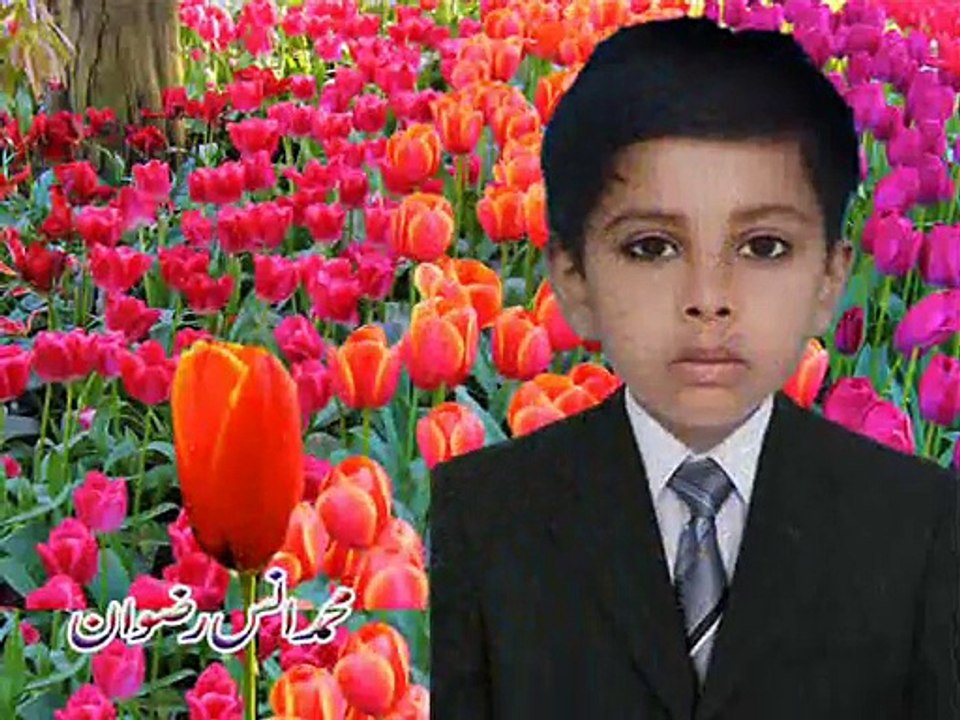 Muhammad Ans Rizwan lives in Dinga - with Awal Hamad