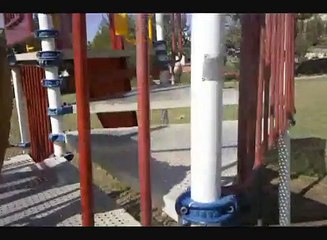 Boxer Dog 9 Months traning