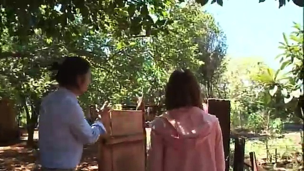 川嶋あいさんの南米パラグアイ訪問（なんとかしなきゃ！プロジェクト）