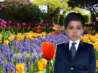 Muhammad Ans Rizwan lives in Dinga City  with Methay pan di galori