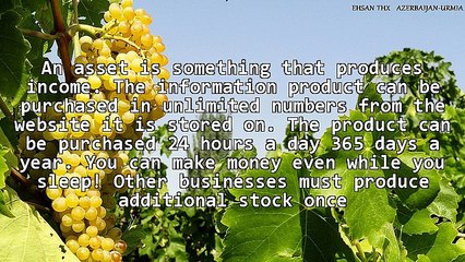 Information can be a very big money spinner on the Internet.