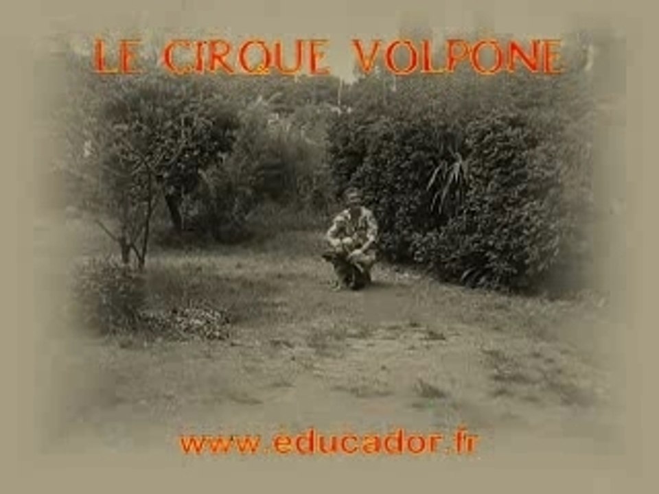 Le cirque Volpone