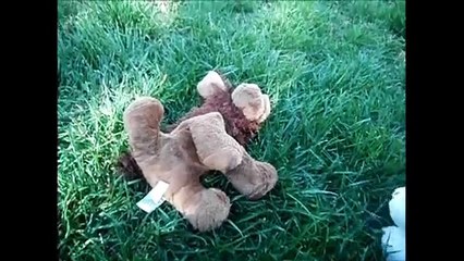 ~Set Fire To The Rain~By Adele~{Webkinz Music Video}