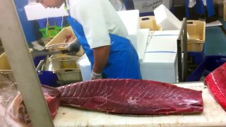 TUNA Yellow Fin Filleted LIVE @ TASMANIAN PACIFIC OYSTER CO. Japanese Filleter How to for sashimi