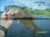 Bass Fishing Trips 5/24 to 5/31 North. NJ