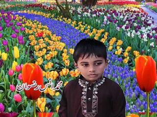 Muhammad Ans Rizwan lives in Dinga City with waqia e mehraj