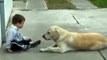 Sweet Dog interacts with a beautiful child.