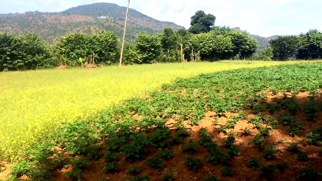 Village Life in Nepal,living style of rural village of nepal.