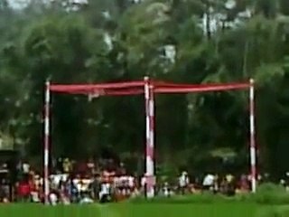 Binatang Peliharaan -Video Lomba Merpati Tinggian (Kolong)Nasional