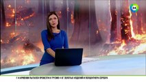 Лесные пожары в Сибири за сутки охватили еще семь тысяч га