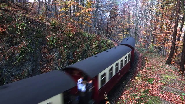 Dampf im Harz - Herbststimmung HSB - Narrow Gauge Steam Trains
