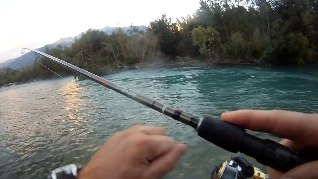 Pêche de truites farios sauvages en Durance Hautes Alpes