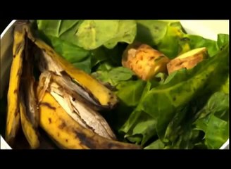 Programa Globo Rural de 19/10/14 - compostagem doméstica