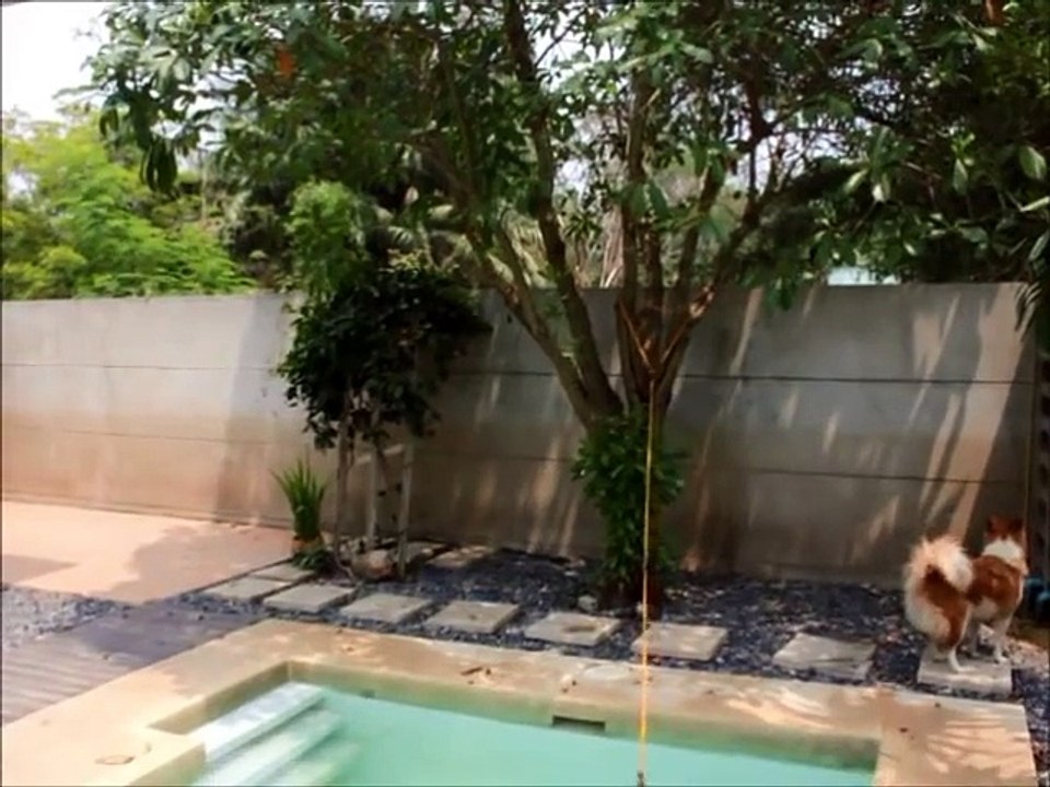 Piscine infinie pour nager : idée de l'année