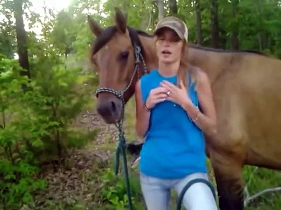 Horse Training- 1st Steps of Breaking to Ride