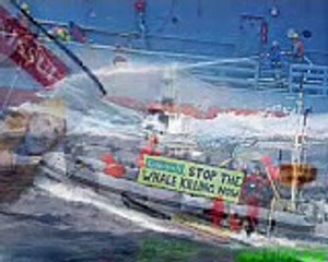 SAVE THE WHALES (photo Greenpeace by www.adventureclub.it)