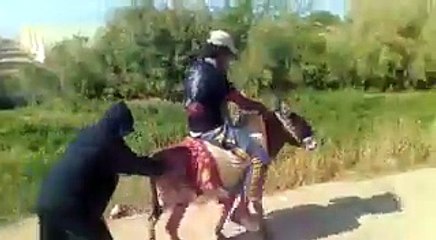 Hybrid Donkey | حمار هايبريدي ولا الف حصان