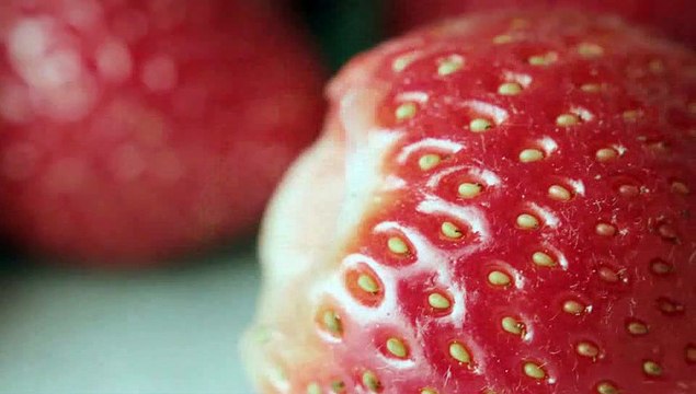 Carte d'Or Selection Cheesecake Ziyafeti