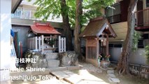 十条日枝神社 東十条 东京 / Jujohie Shrine Higashijujo Tokyo /텐텐 히에 신사 동쪽 도쿄