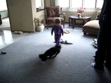 Baby Chases Laser Pointer