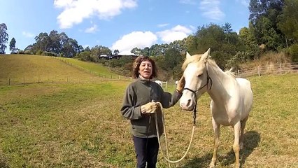 Horse Training -  Retraining a problem horse
