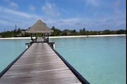 Vacation at Taj Exotica Resorts and Spa Maldives