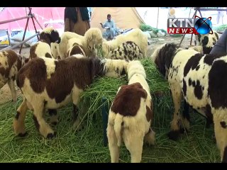 expo center karachi animal exhibition 31-05-2015