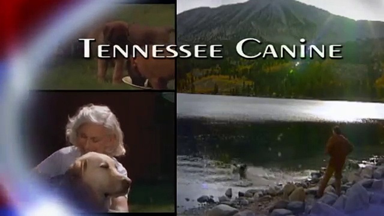 TNK9 Tennessee Canine with Kenny Lucas - Happy Funny Dog and Puppy scenes and tips