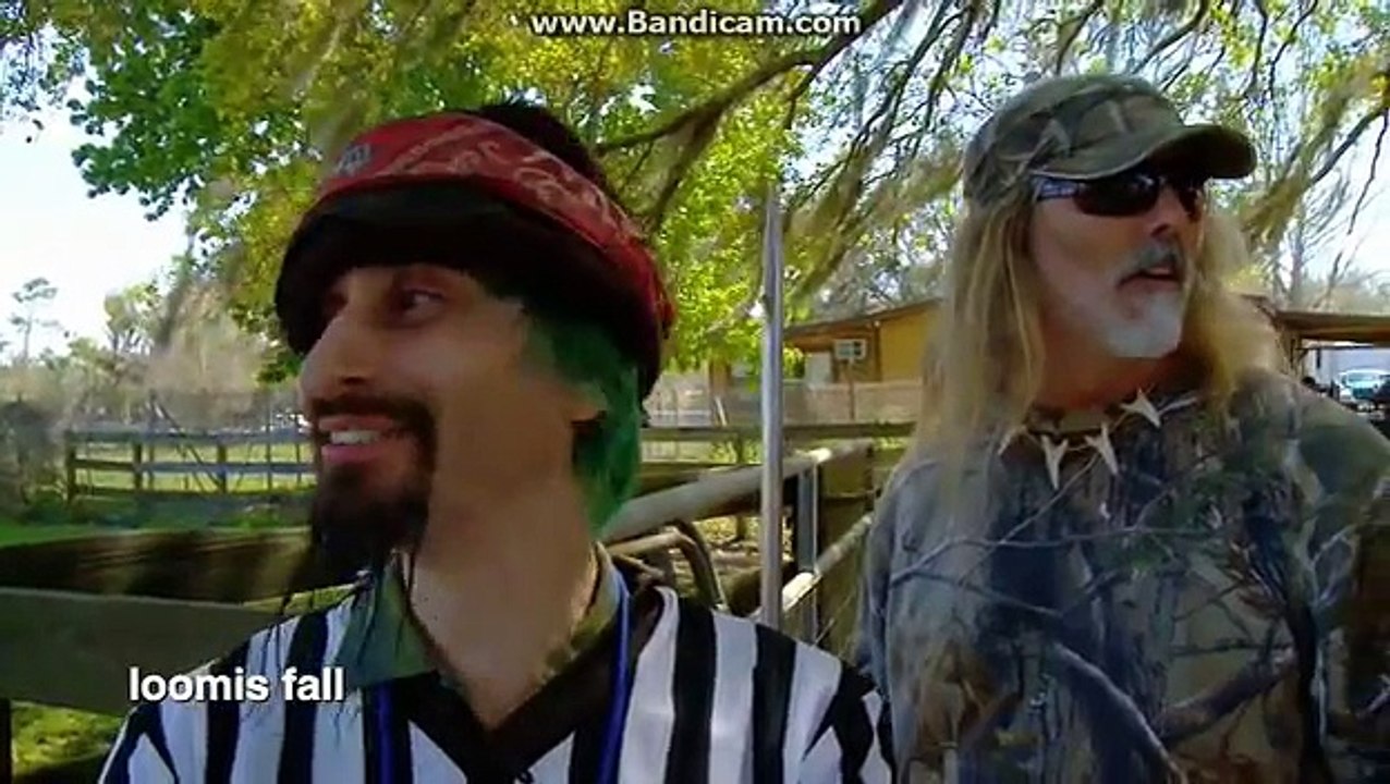 Jackass 3, Beehive Tetherball! video Dailymotion