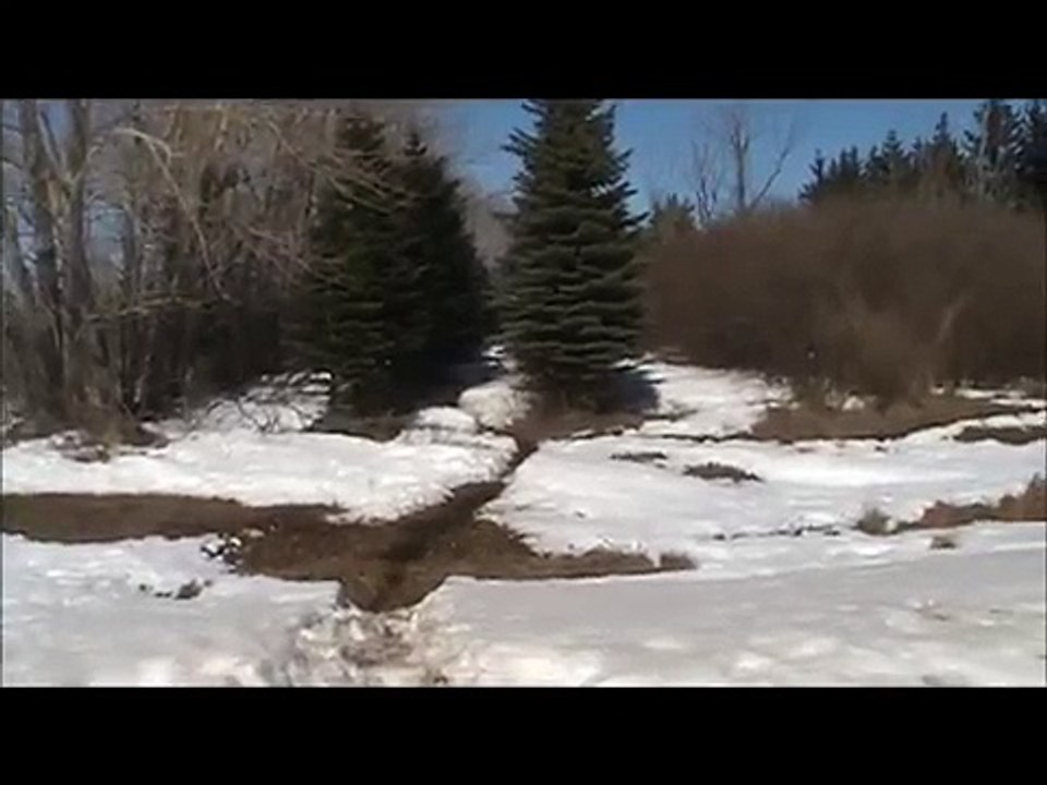 Wild life in Saskatchewan 2011
