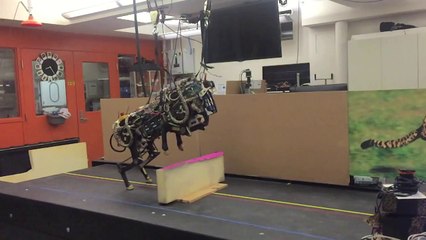 Un robot capable de reproduire les mouvements d'un guépard