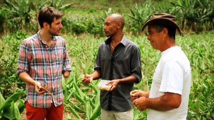 Le curcuma - La tournée des popotes - Teaser du 04/06/2015