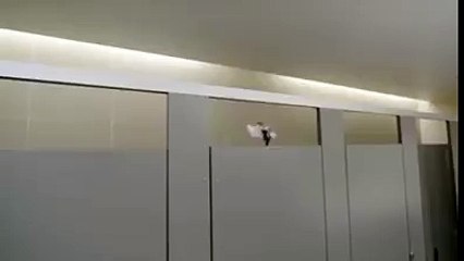 Follow To The End. Laughter Guaranteed!