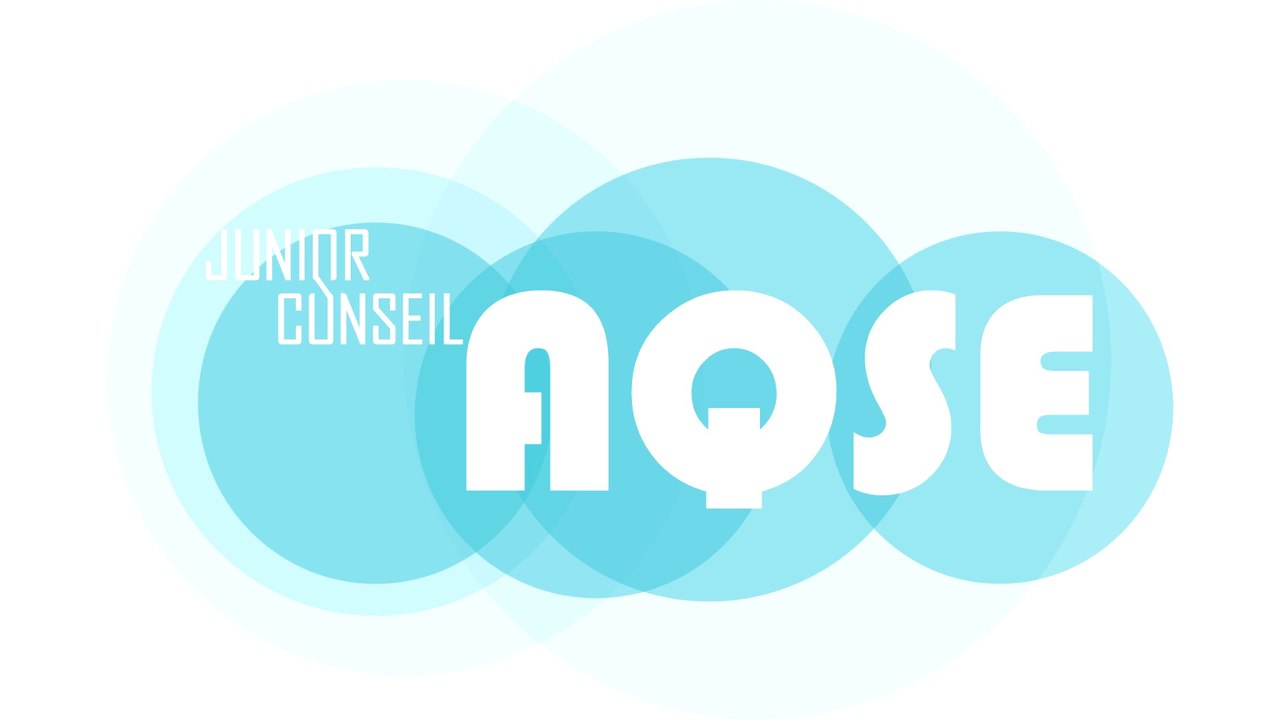 Junior Conseil AQSE