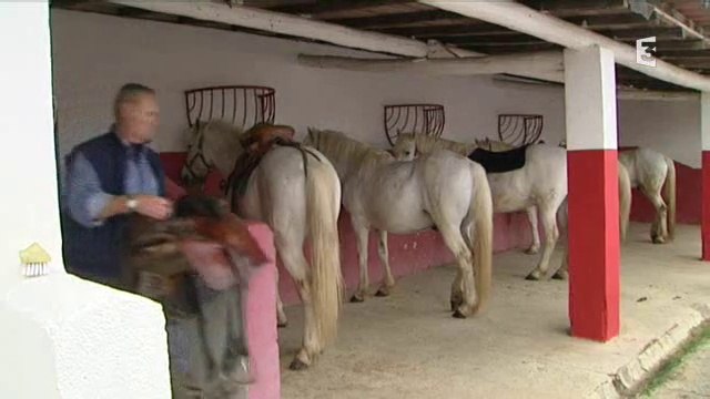 Manade du Ternen en Camargue