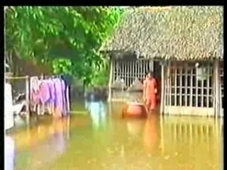 Lu lut mien tay  - 1 x 9 - Doan