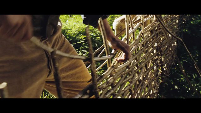 Loin de la foule déchaînée de Thomas Vinterberg - bande-annonce