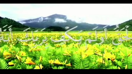 Les Miracles d'allah . Que Personne Ne Peut Nier.أجمل مقطع للتفكر في مخلوقات الله